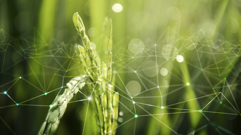 Tutti i dati del tuo territorio in un unico ecosistema digitale